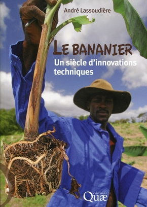 Le bananier un siècle d'innovations techniques