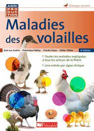 Maladies des volailles