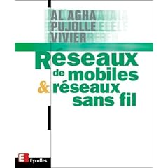R&eacute;seaux d'entreprise par la pratique