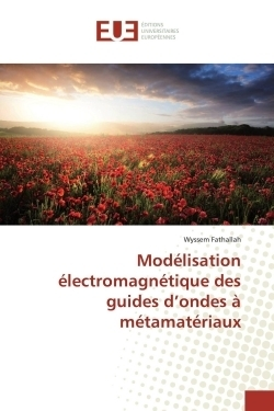 Mod&eacute;lisation &eacute;lectromagn&eacute;tique des guides d'ondes &agrave; m&eacute;tamat&eacute;riaux