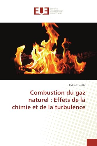 Combustion du gaz naturel