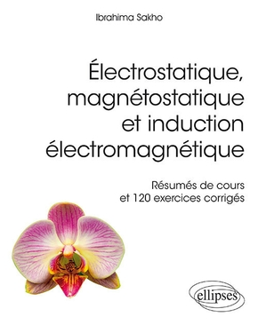 Électrostatique, magnétostatique et induction électromagnétique