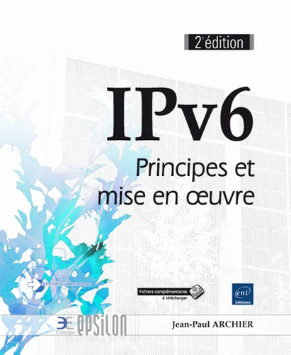 IPv6
