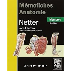 Mémofiches anatomie Netter