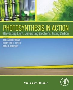 Photosynthesis in action