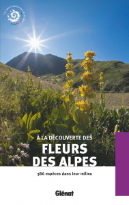 À la découverte des fleurs des Alpes
