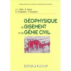 G&eacute;ophysique de gisement et de g&eacute;nie civil