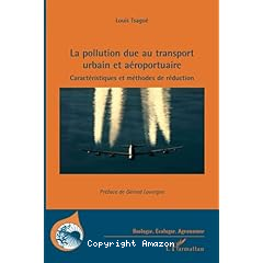 La pollution due au transport urbain et aeroportuaire