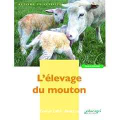 L'elevage du mouton