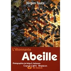 L'etonnante abeille
