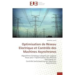 Optimisation de reseau electrique et controle des machines asynchrones