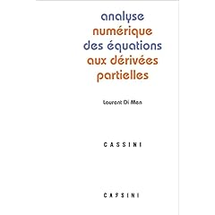 Analyse numerique des equations aux derivees partielles