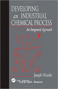 Developing an industrial chemical process