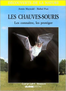 Les chauves-souris