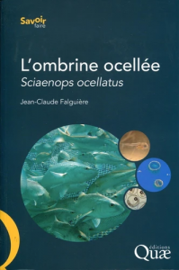 L'ombrine ocellée