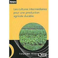 Les cultures intermédiaires pour une production agricole durable