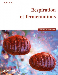 Respirations et fermentations